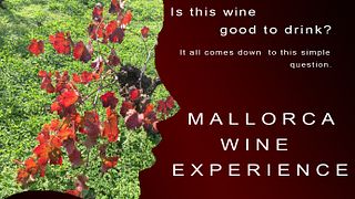Balearic Wine Journey: Taste Mallorca’s Essence