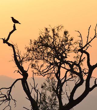 Visita e degustação de vinhos na Sunset Celler Mas Geli