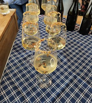 Chasse aux truffes et dégustation de vins