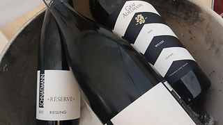Degustazione di vini e visita a Schnaitmann