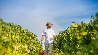 Fabio Ferracane Winery