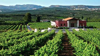 La experiencia de cata de vinos Story