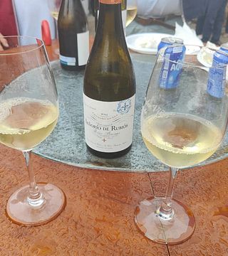 Vigo: Día de fiesta en el vino o en la gastronomía