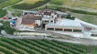 Rapalino F.LLI DI Rapalinio Claudio