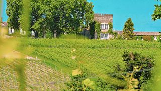 Chateau d' Arche