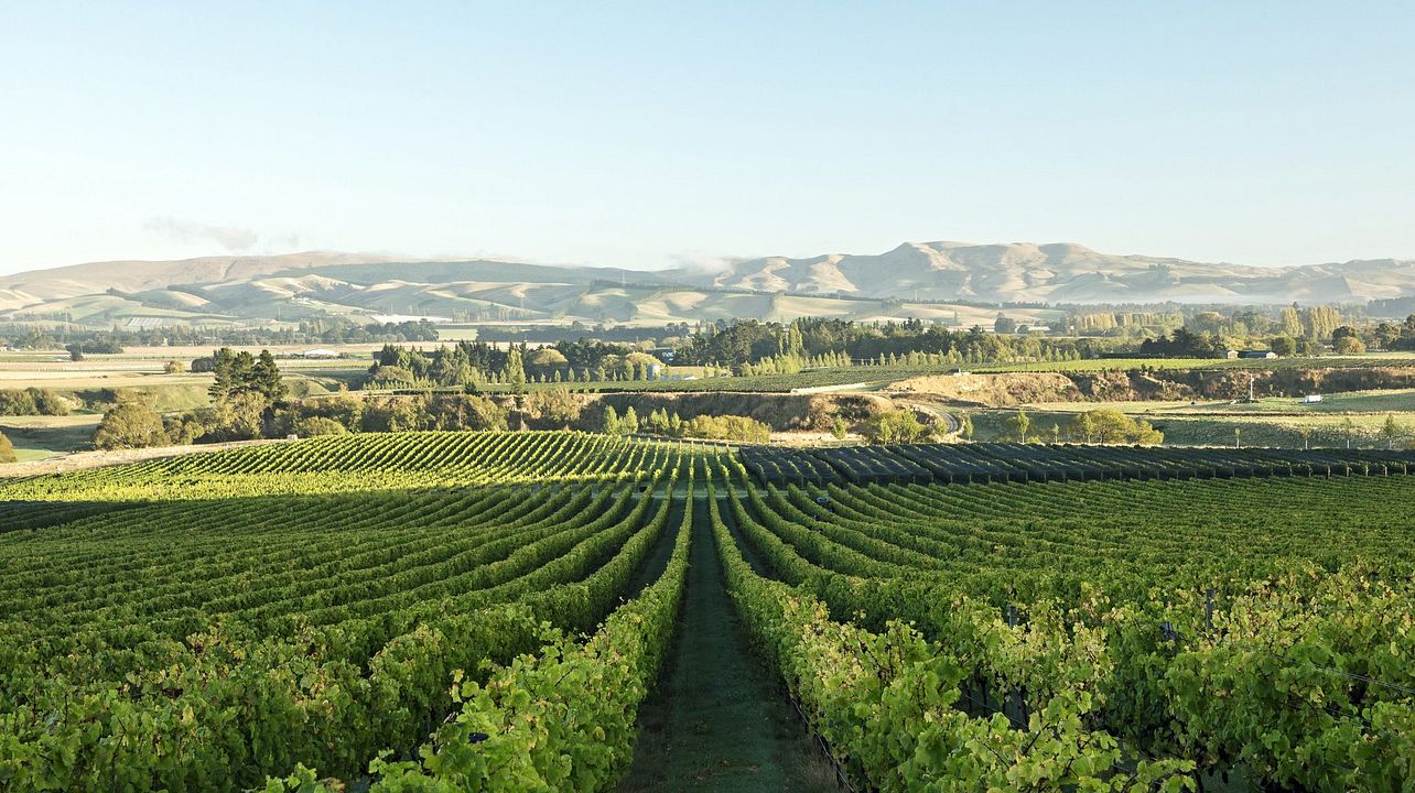 Waipara Weinerlebnis