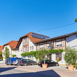 Pfalz Wine & Culture Tour at Weinhaus Zöller