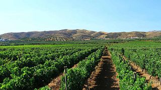 L'esperienza di degustazione di vini "The Story"