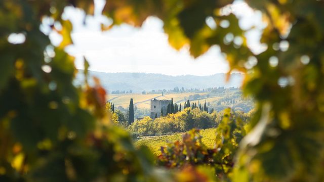 Castello di Tornano