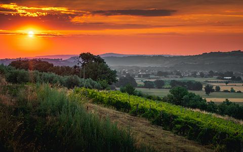 Stay in Oasis Winery Home at Tenute Pacelli