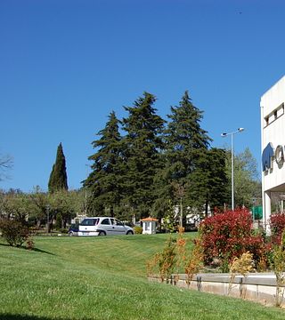 Caves de Murça Cellars