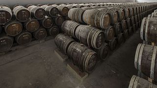 Esperienza di lusso | Degustazione di vini e tour alle Bodegas Toro Albalá