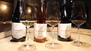 Degustazione di vini presso la Topiary Wine Estate