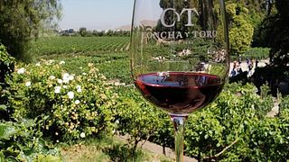 Weingut Concha y Toro – Klassische Tour mit Transport – REGELMÄSSIG