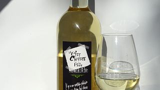 Bordeaux Winemaking & Tasting at Château du Payre