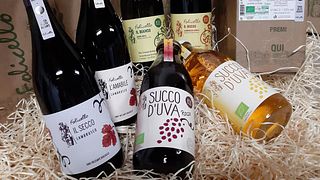 Folicello Società Agricola