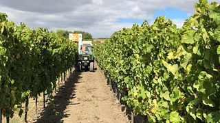 Séjournez dans un appartement au Weingut H.Engelhard
