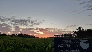 Weinprobe 3 – Besonders im Quinta dos Monteirinhos