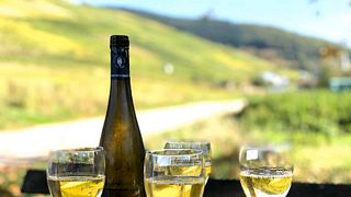 Vinprovning och rundtur på Weingut Martin Conrad