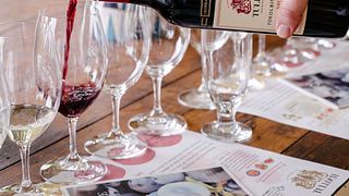 Tulloch Wines