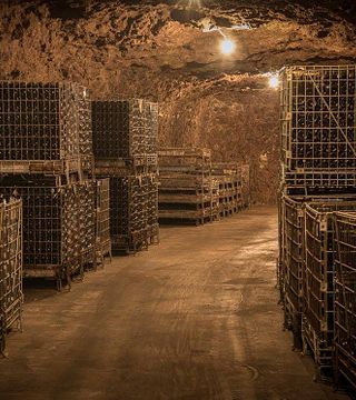 Cata de vinos y visita guiada al Domaine De La Rochette