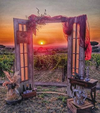 From Sunset to the Glass - Dinners in the Vineyard & Evenings Among the Vines