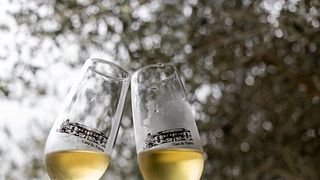 Premium-Weinprobe im Casa Da Tojeira