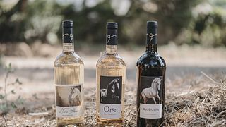 Cata de vinos al aire libre