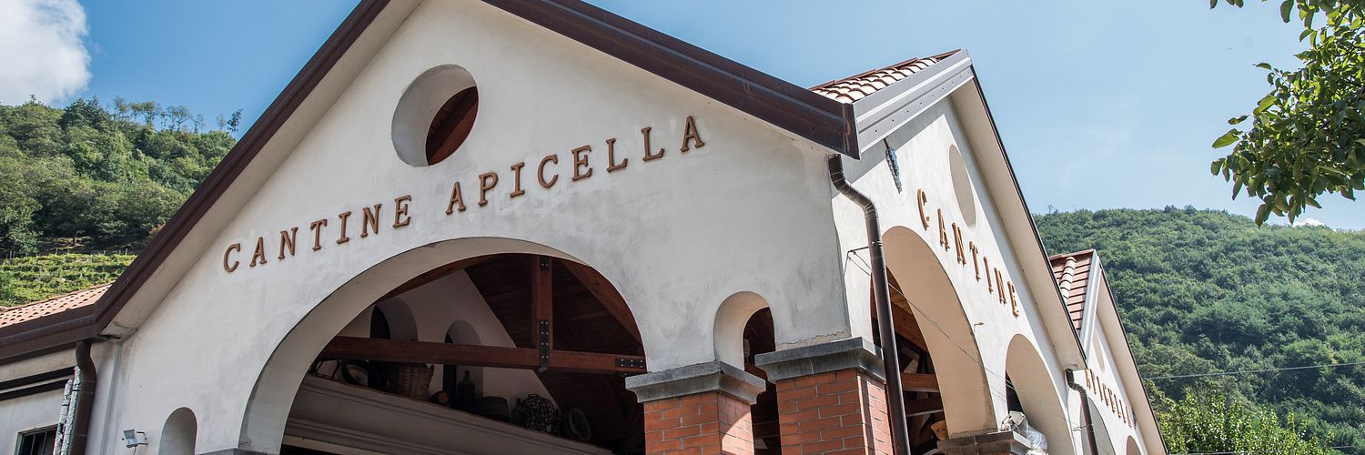 Apicella 42