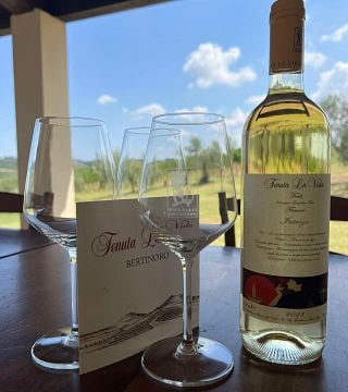 Tenuta La Viola