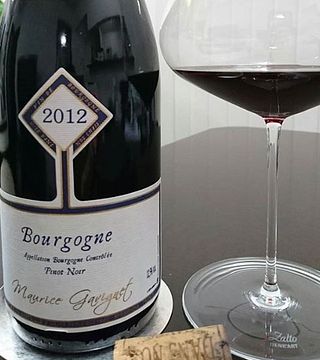 Burgundy Wine Legacy: Tasting & Tour with Gavignet