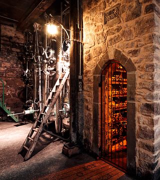 Alsace Organic Wine Tour & Tasting at Bott Frères in English