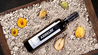 Dégustation de six vins et visite à Blanca Terra