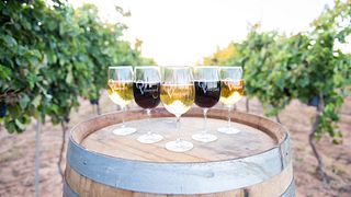 Oswald Vineyard