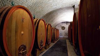 Cata de vinos y visita guiada en Antichi Vinai