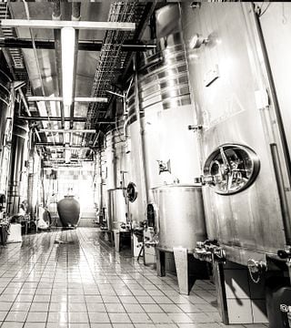 Tasting of 5 Champagnes