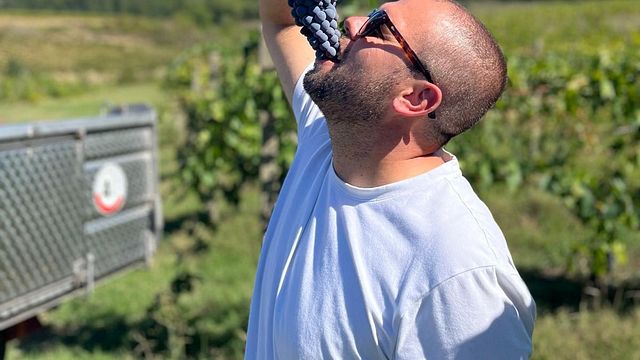 Almuerzo y cata de vinos
