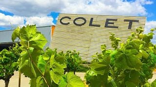Populär vinprovning och vingårdstur på Colet