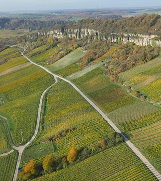 Mosel Wine & Dining at Weingut Hubertus M. Apel