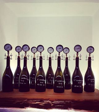 Weinprobe im Weingut Zanotelli