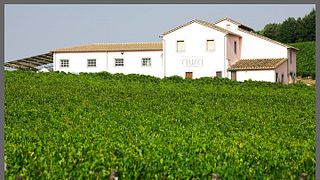 Azienda Agricola Ciucci