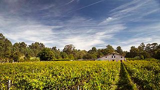 Corisca Winery