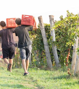 Aresca Winery