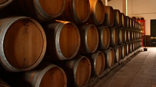 Bodegas Rivero: A Legacy of Winemaking