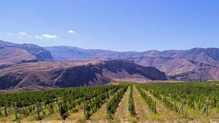 Visite VIP au domaine viticole HIN ARENI