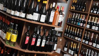 Austrian Wine Tasting Tour