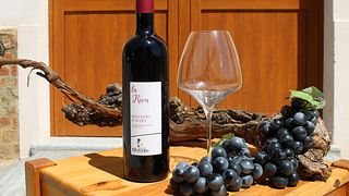 Degustação de 3 vinhos clássicos na Cantina Olivero