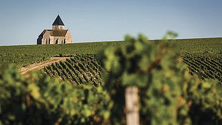 Burgundy Vineyards: Chablis Tour & Tasting at Domaine Gueguen