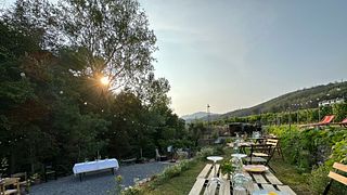 OpenVigna & Weinprobe | Azienda Agricola Dell'Erba