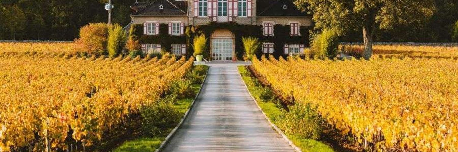domaine d'ardhuy - vineyard